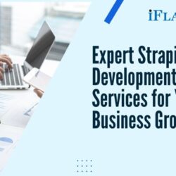 Expert Strapi CMS Development Services for Your Business Growth