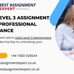 Cipd Level 3 Assignment Help Professional Assistance