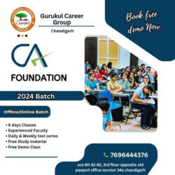 CA Foundation Coaching In Chandigarh 90kb img