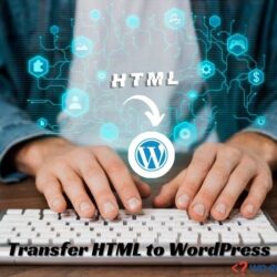 Transfer HTML to WordPress