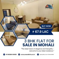 3 BHK Mohali -Anand infra