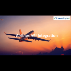 Airlines API Integration (1)