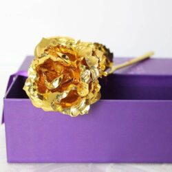 golden-rose-in-purple-box-manual-yuvaflowers-ogn-143-default-title-42166156787992