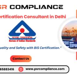 BIS Certification Consultant in Delhi