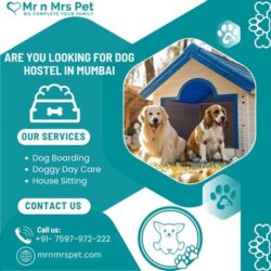 Dog Hostel in Mumbai