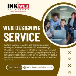 Best Web Designing Company Trends to Watch in Mohali