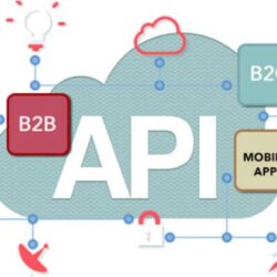 API Solution - img