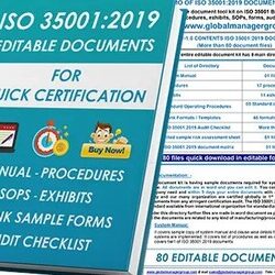 iso 35001 consultants