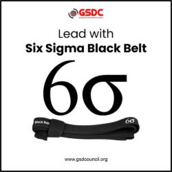 Lead with Six Sigma Black Belt