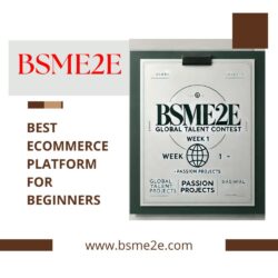 Best Ecommerce Platform for Beginners