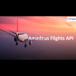 Amadeus Flights API (1)