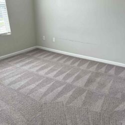 Carpet Cleaning Services in Charlotte NC