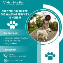 Dog Walking Services in Mumbai