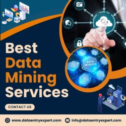 Best Data Mining Services