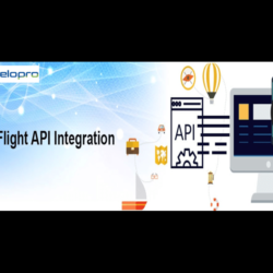 GDS Flight API Integration