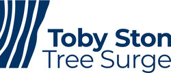 Tree-Surgeon-in-Croydon