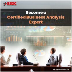 Become a Certified Business Analysis Expert