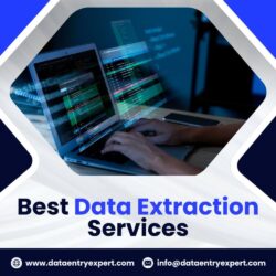 Best Data Extraction Services