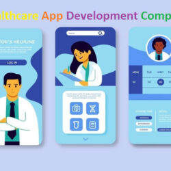 How can a custom healthcare software development company help its clients