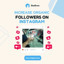 increase organic followers on instagram