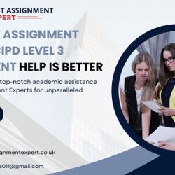 How Best Assignment Experts CIPD Level 3 Assignment Help Is Better