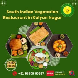 South Indian Vegetarian Restaura