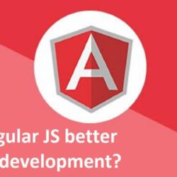 Why Angular JS better for web development