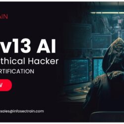 Certified Ethical Hacker  (CEH v13)