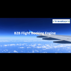 B2B Flight Booking Engine (1)