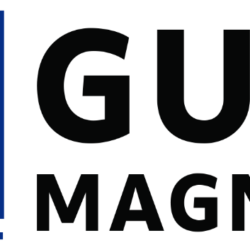 gulfmagnets logo