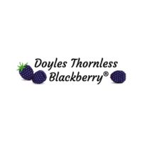 DoylesBlackberryInc