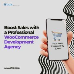 Boost Sales with a Professional WooCommerce Development Agency