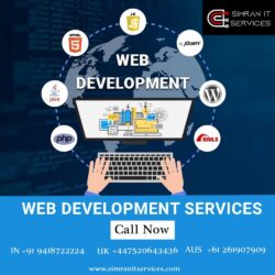 Web Development Company in Himachal