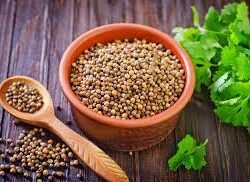 coriander