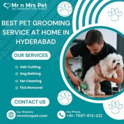 Pet Grooming Service at Home in Hyderabad