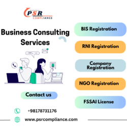 Online Business Consulting Services