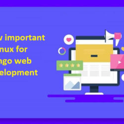 How important is Linux for Django web development