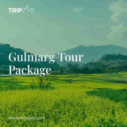 gulmarg tour package 3(1)