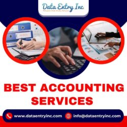 Best Accounting Company In India