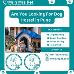 Dog Hostel in Pune