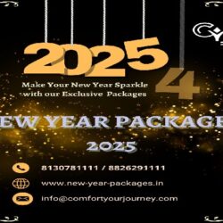 New -Year -Packages 2025 crop