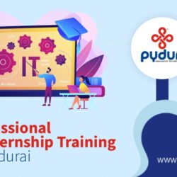 Professional IT Internship Training in Madurai