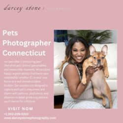 Pets Photographer Connecticut (5)