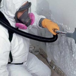 Mold Remediation Service Market_3