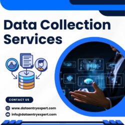 Best Collection Services