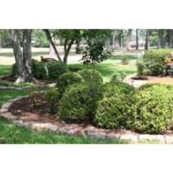 Landscape Contractors Delaware