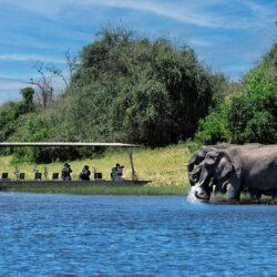 chobe-river-img