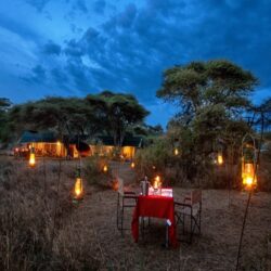 8-Day-Tanzania-All-Inclusive-Luxury-Safari-3-1536x1024-1 - Copy