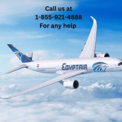 Egyptair English-min (1)-compressed