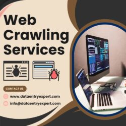 Web Crawling Services